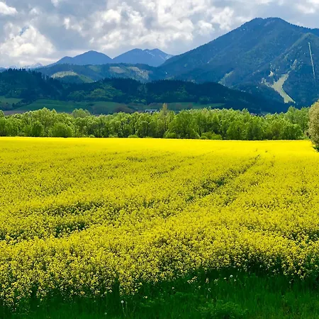 Miracle Seasons アパートホテル Liptovský Mikuláš