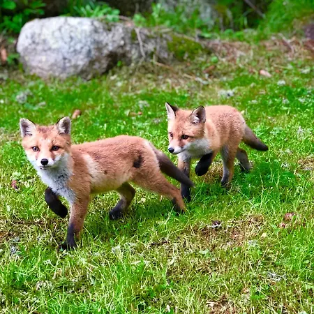 アパートホテル Miracle Seasons 4*