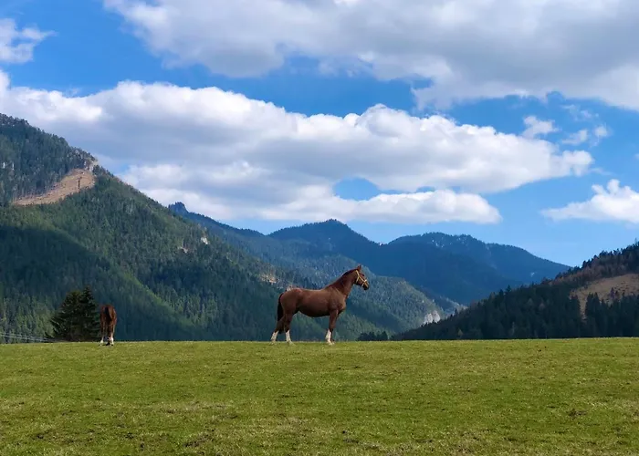 Miracle Seasons Aparthotel 4*