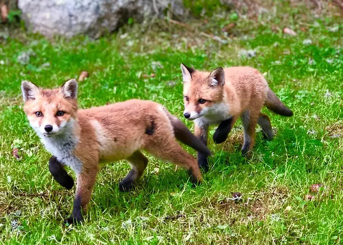 Aparthotel Miracle Seasons 4*